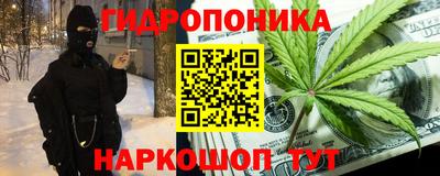 гидропоника Кунгур