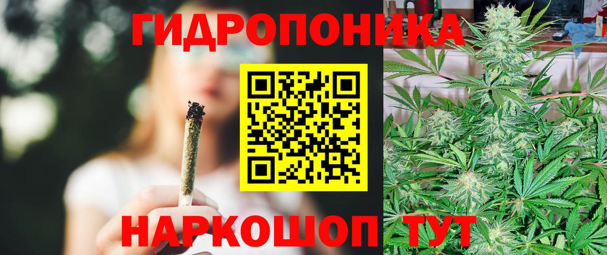 Марихуана OG Kush Зеленодольск